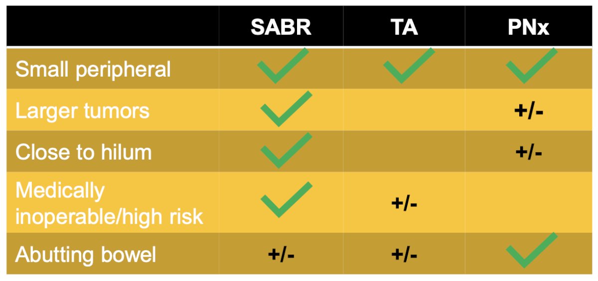  indications and outcomes for radiation therapy in renal masses by highlighting the importance of patient selection for stereotactic body radiotherapy