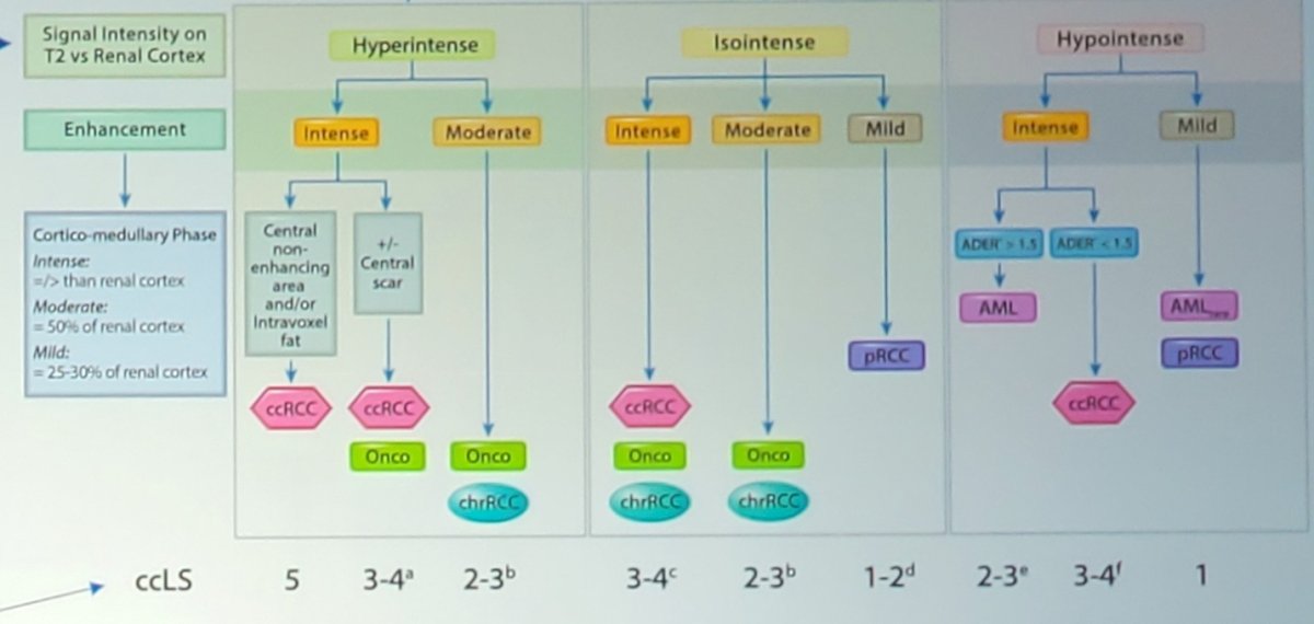 high level overview of how a radiologist can interpret a renal mass on mpMRI 2