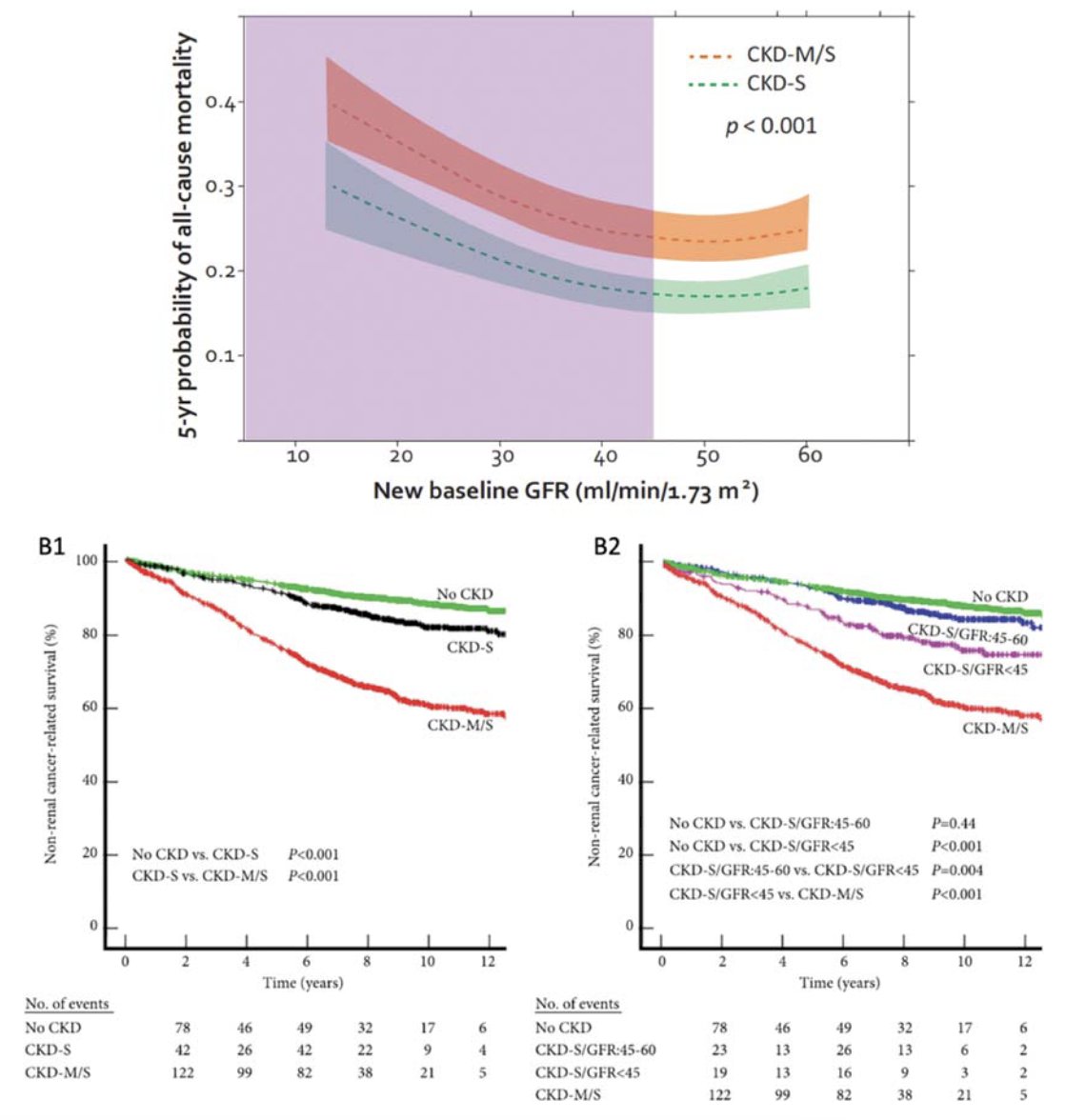 Indeed, proteinuria is an independent prognosticator for overall survival and kidney function, and those with medical and surgical chronic kidney disease fair worse in terms of non oncological survival compared to those with only surgical chronic kidney disease: