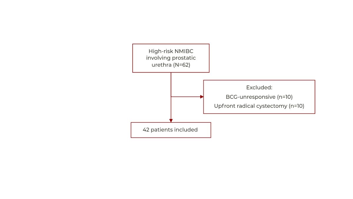 study included a review of consecutive patients diagnosed with NMIBC between January 2005 and May 2023 to identify patients with urothelial carcinoma of the prostate