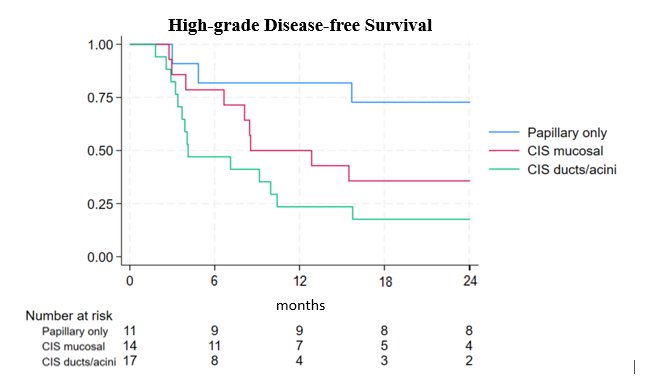  3-month assessment, 29 patients (69%) were disease-free and 90% of patients received ongoing maintenance treatment. Despite this, 30 (71%) patients recurred at a median of 8.5 months (IQR 6.7 to 12.6). High grade disease free survival is as follows, favoring papillary only disease