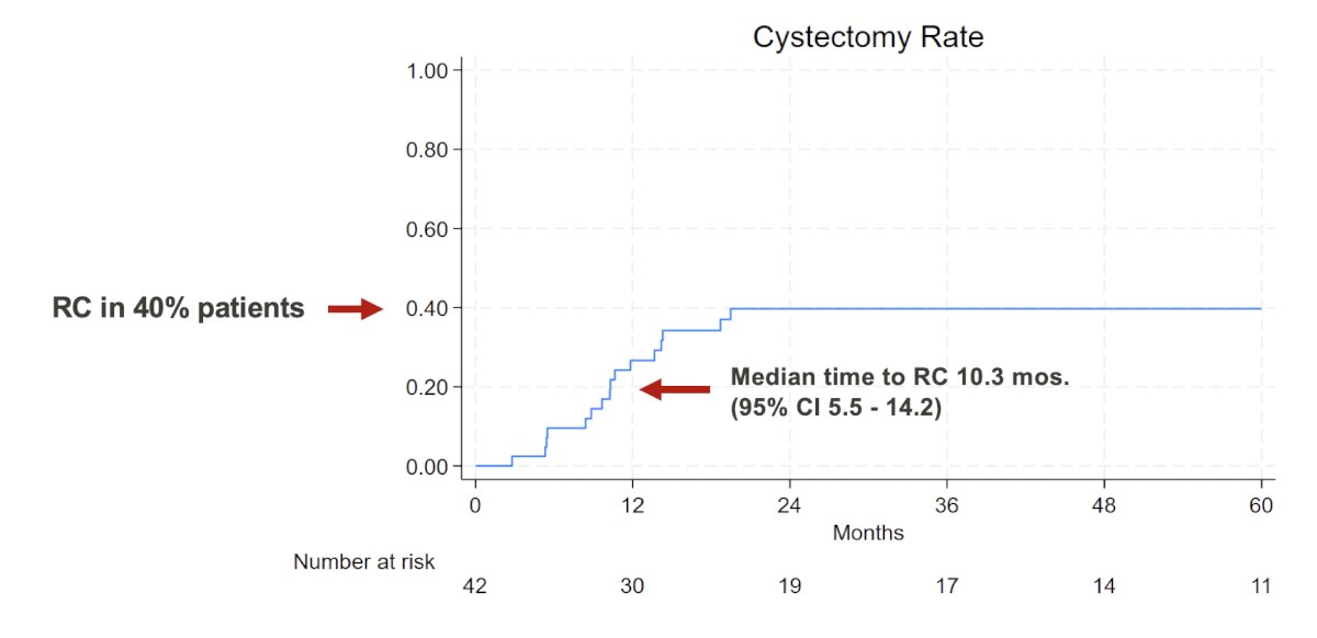 There were 17 (40%) patients that had a cystectomy at a median of 10.3 months (IQR 5.5-14.2). Progression to muscle-invasive or metastatic free survival at 1 year was 85% (95% CI 72-92):