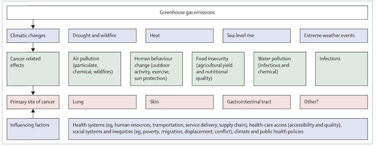 certain cancers, specifically lung, skin, and gastrointestinal cancer, may be specifically related to greenhouse gas emissions