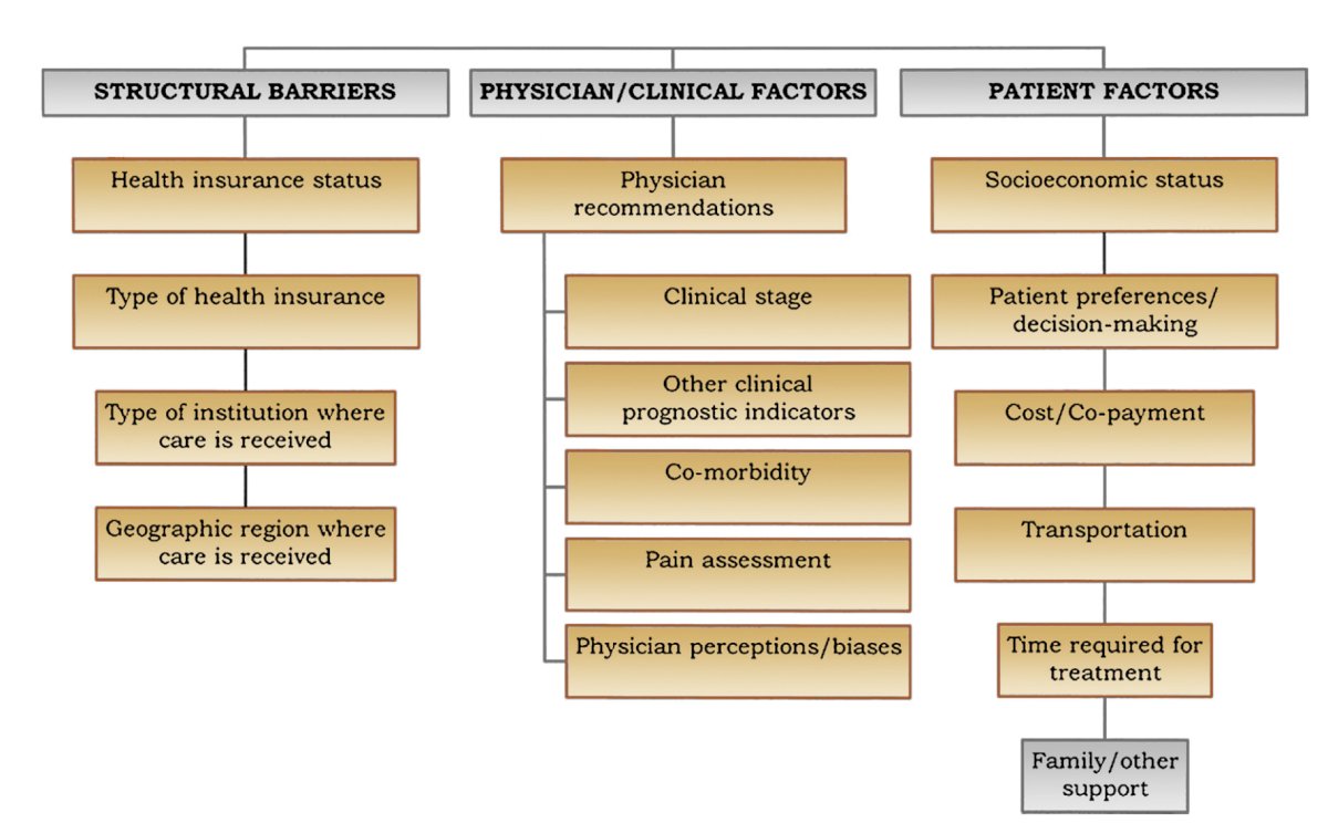 This leads to a barrier of care, in addition to several other barriers that include structural, physician/clinical factors, and patient factors;1 barriers that telehealth has the potential to mitigate