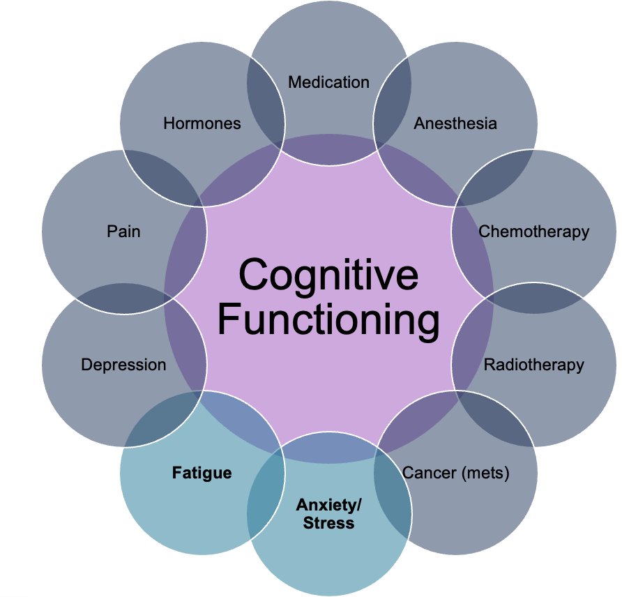 cognitive prehabilitation is very important. There are multiple factors that impact cognitive functioning in patients undergoing cancer treatment