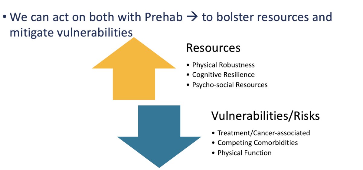 Strategies should be developed to mitigate personalized risk profiles, using Geriatric Assessment-based, vulnerability-directed prehabilitation prescriptions.