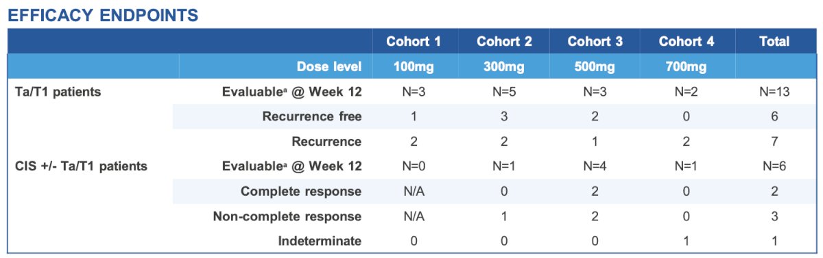 In the 500 mg group, 1 of 4 patients with CIS disease and 1 of 3 patients with Ta/T1 disease remained disease free at 6 months and both remain in the study