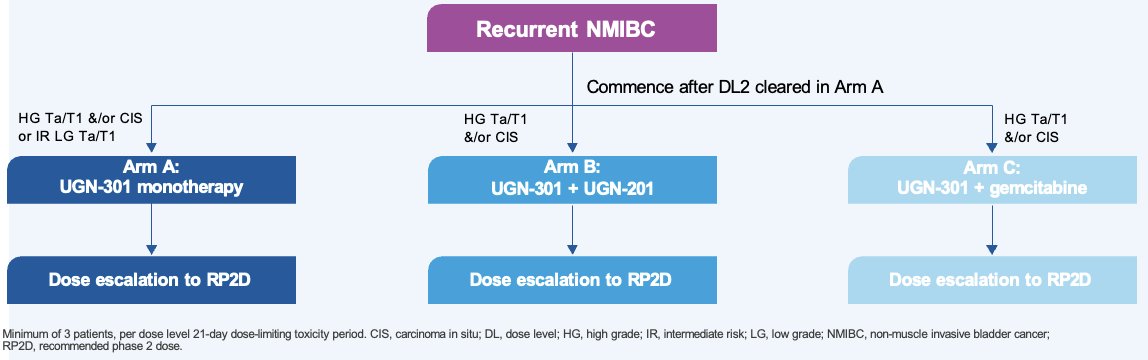 This is an ongoing multi-part phase I dose-escalation study, with up to 30 patients included per arm, to evaluate the safety and determine the recommended phase II dose (RP2D) of UGN-301 as monotherapy and in combination with other agents in patients with recurrent NMIBC