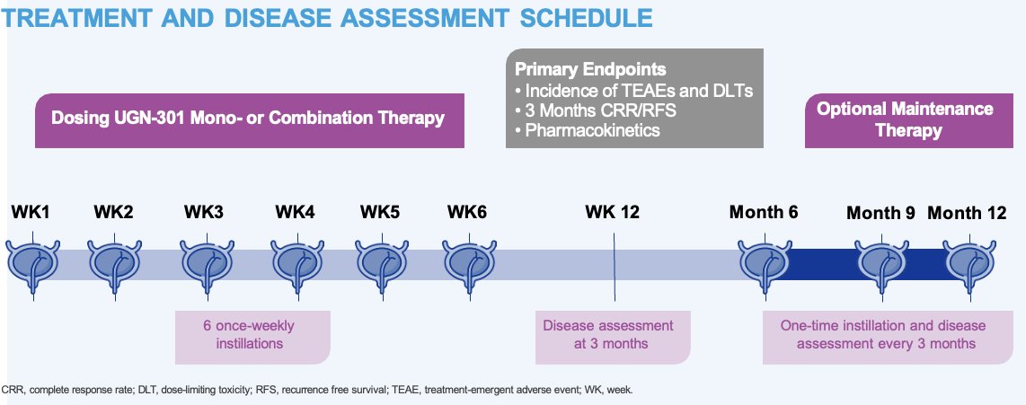 The treatment and disease assessment schedule