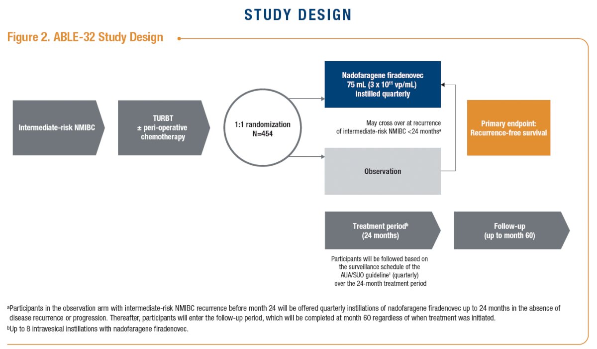 Nadofaragene firadenovec was well tolerated, with no grade 4 or 5 study drug–related adverse events. ABLE-32 (NCT06510374) is an ongoing, open-label, randomized, controlled, phase IIIb study to evaluate the efficacy of nadofaragene firadenovec administered every 3 months versus observation in participants with intermediate-risk NMIBC.