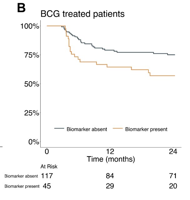 There were 80 (29%) patients that were CHAI biomarker present: 45 (56%) received BCG, and 35 (44%) received gemcitabine and docetaxel. In BCG treated patients, CHAI biomarker present cases had inferior high grade recurrence free survival compared to CHAI biomarker absent cases (HR 2.0, 95% CI 1.1 – 3.6, p < 0.02):