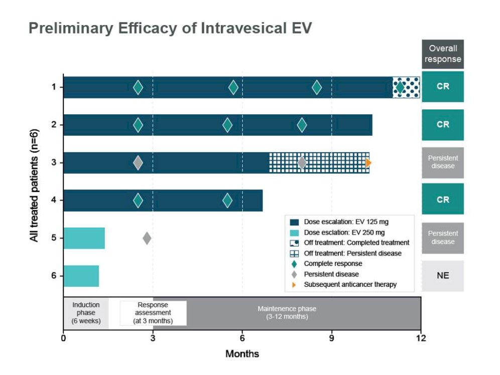 The fourth patient discontinued treatment due to persistent disease but remains on study