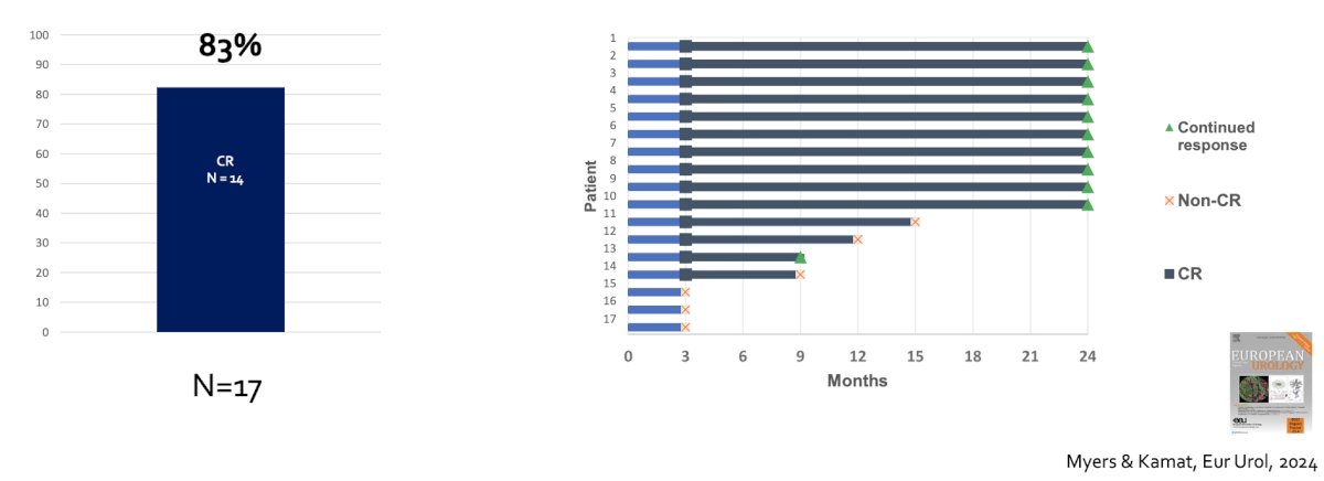 sub-population of patients that have BCG-unresponsive CIS +/- Ta/T1 may have a response to additional BCG.9 Among 17 patients receiving additional BCG, 14 (83%) had a complete response