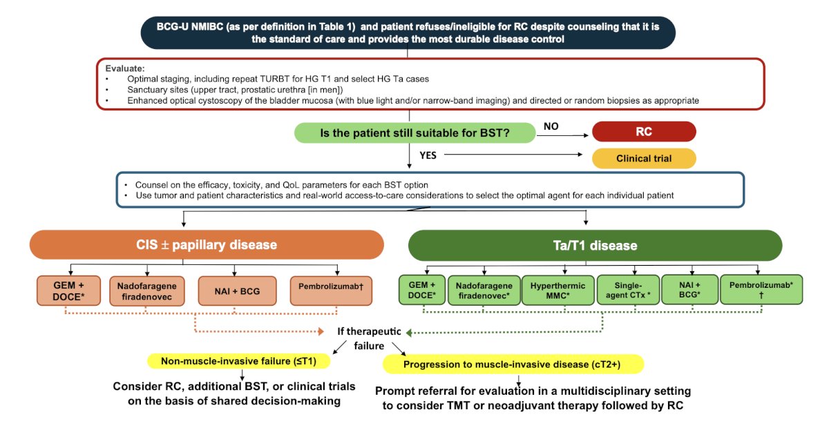 For patients with BCG-unresponsive papillary-only tumors, gemcitabine + docetaxel, nadofaragene firadenovec, NAI + BCG, single-agent chemotherapy, hyperthermic mitomycin C, and pembrolizumab are recommended