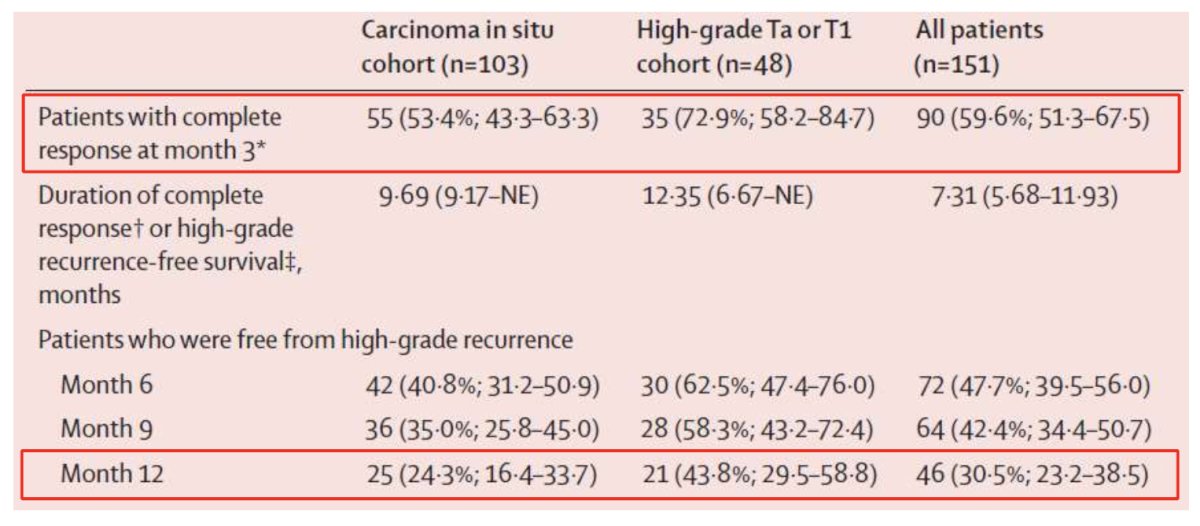 This study met its primary endpoint with 53% of patients with CIS +/- papillary disease achieving a complete response at three months, with 24% maintaining this response by 12 months. Patients with high-grade Ta/T1 tumors achieved 73% and 44% high-grade recurrence-free survivals at three and 12 months, respectively