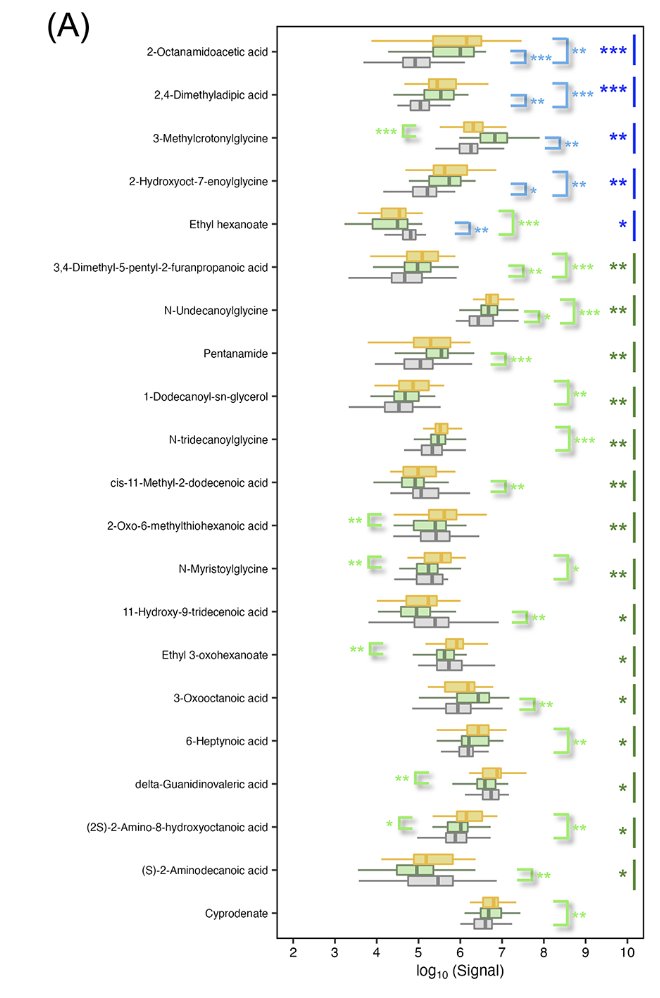 They also observed a total of 21 altered species of fatty acids, esters and amides, six of which were elevated in both smokers and e-cigarette users compared to controls