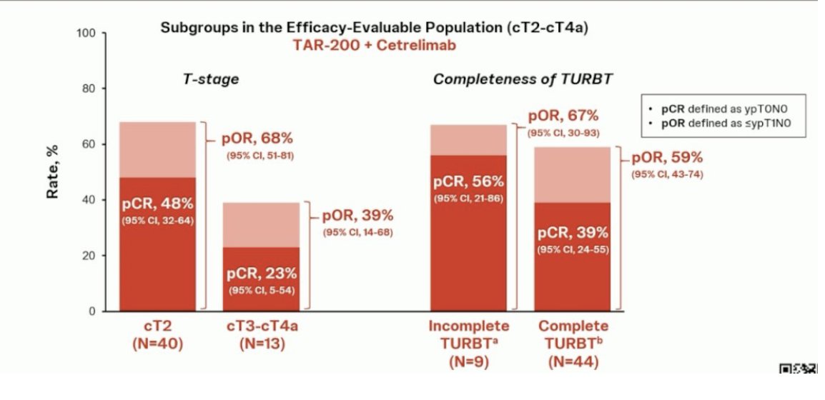 In efficacy evaluable patients, the pCR was 42% (95% CI, 28-56) for the combination (n=53) versus 23% (95% CI, 10-41) for cetrilimab alone (n=31). Clinical staging and the quality of TURBT may influence efficacy, although the sample size remains small. Regarding safety Treatment-related adverse events (TRAEs) occurred in 72% of patients, with serious adverse events (SAEs) reported in 11% and discontinuation due to TRAEs occurred in 13% of patients.