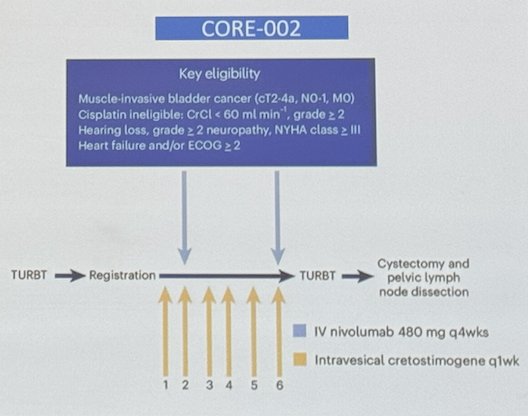 Moreover the CORE-002 study assessing GC0070 (Cremostigene) + Nivolumab in the neoadjuvant setting, enrolled Patients with MIBC cisplatin ineligible who underwent TURBT, received intravesical cremostigene weekly x 6 and IV Nivolumab every 4 weeks.