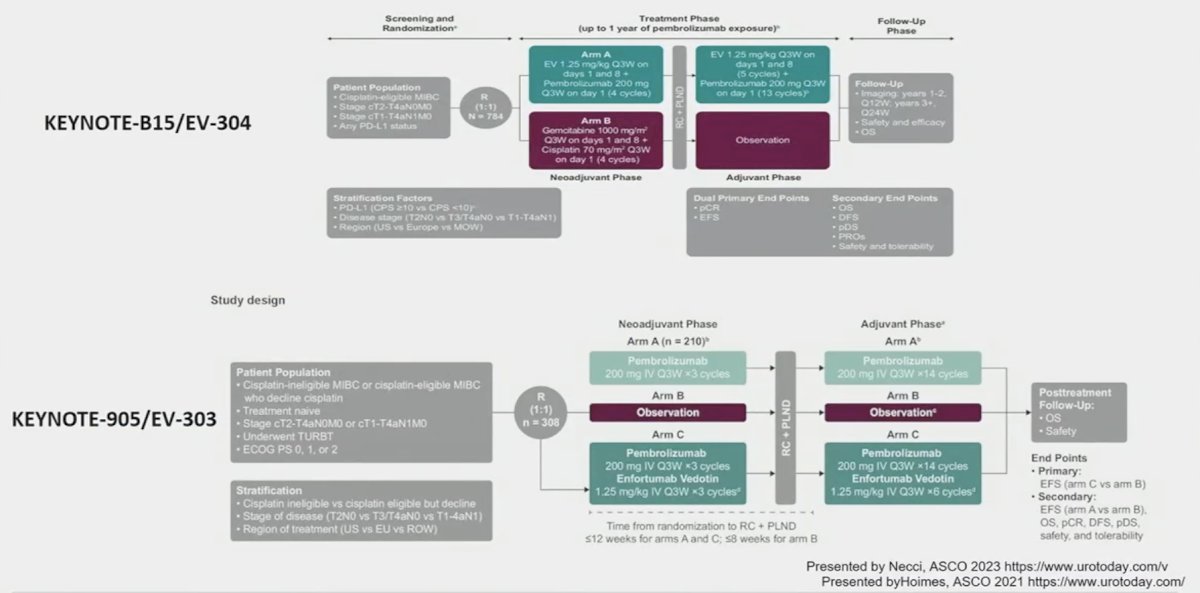 There are three other studies examining the combination of chemotherapy and immune checkpoint inhibitors. The first is EV-304, a randomized phase 3 study of perioperative enfortumab vedotin plus pembrolizumab (4 cycles preoperatively and 13 cycles postoperatively) versus chemotherapy in cisplatin-eligible patients with MIBC.