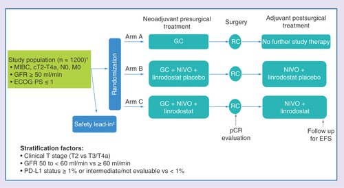 Lastly, the third study is the ENERGIZE study. This study has three arms, randomizing cisplatin-eligible patients to GC (Arm A), GC + Nivolumab followed by RC and adjuvant Nivolumab + linrodostat placebo (Arm B), and GC + Nivolumab followed by RC and adjuvant Nivolumab + linrodostat (Arm C