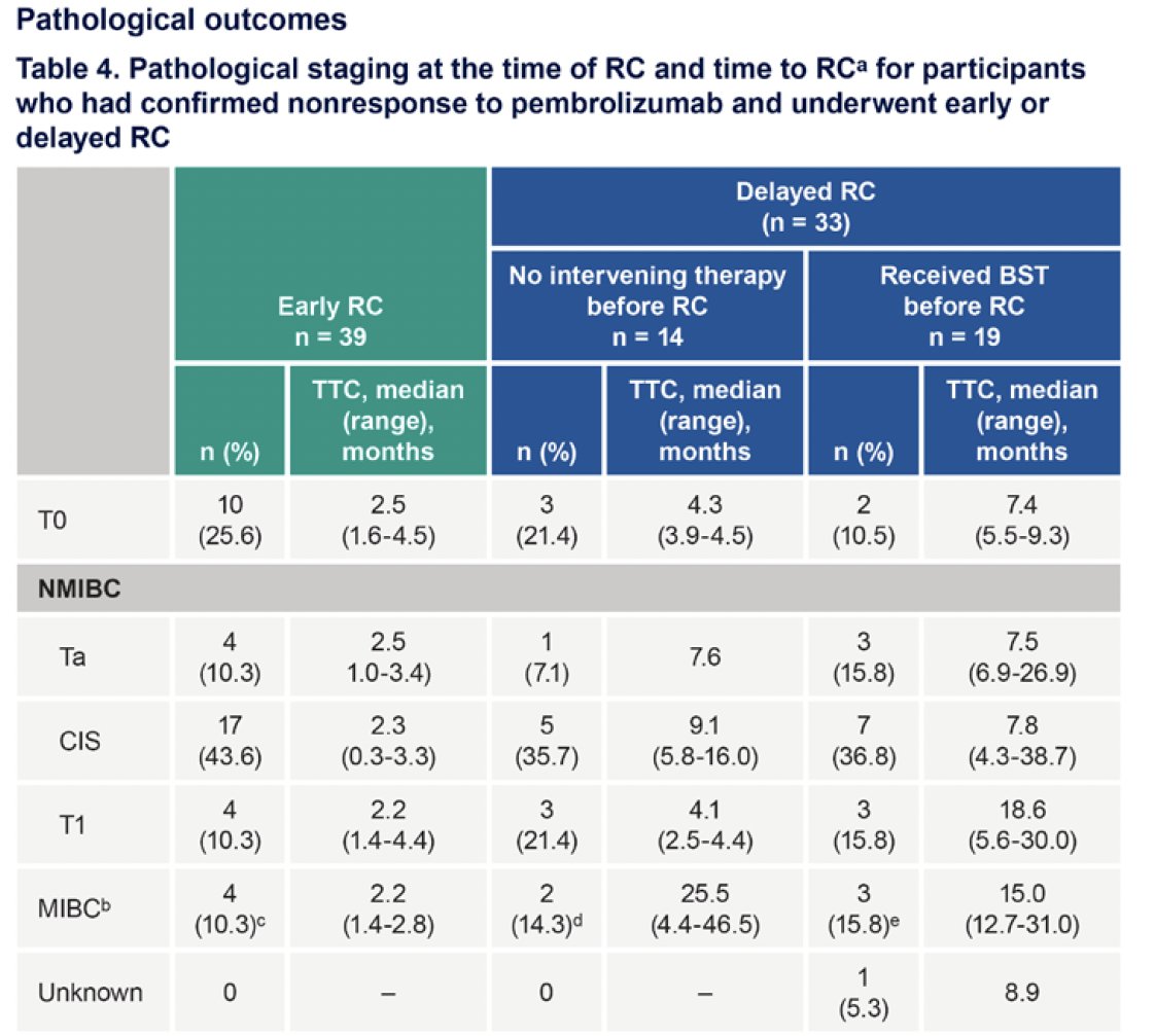 Participants who underwent early versus delayed radical cystectomy had similar pathological outcomes.