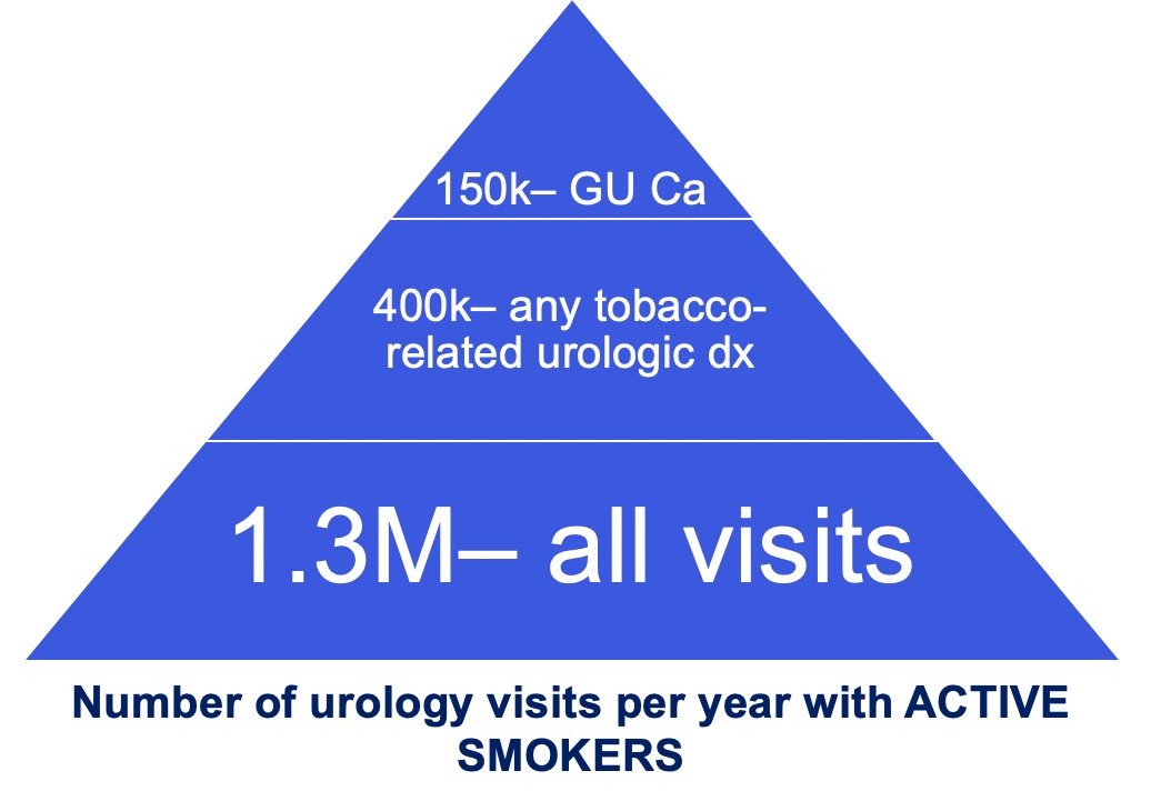 Dr. Matulewicz emphasized that there is ample opportunity to intervene with smoking cessation for our patients. One third of all visits with urologists are for tobacco-related disease. In fact, work from Dr. Matulewicz’s group suggests that 1.3 million visits occur to urologists per year of which patients are active smokers:3