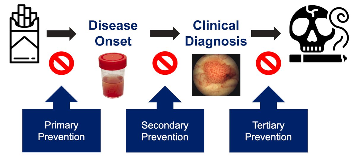 Although ideally interventions would take place along the entire continuum of medical care, when it comes to preventative medicine, the focus of urologists is on the secondary and tertiary prevention stages