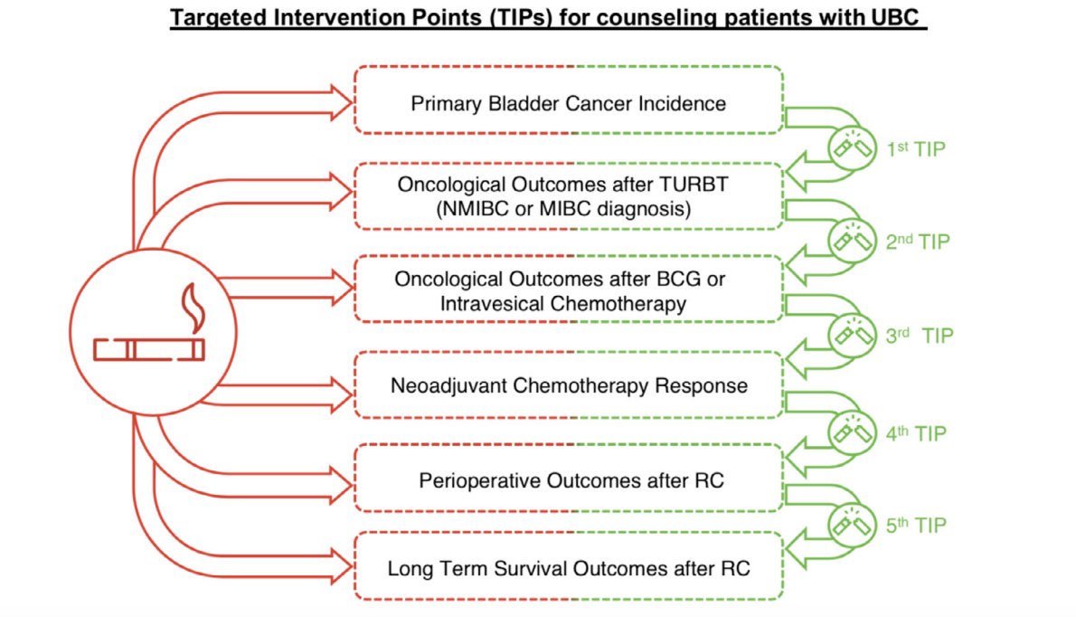 when tobacco cessation can be done, it is important to (i) assess your own institutional practices, and (ii) identify resources at the system level. For patients with urothelial carcinoma, there are five specific targeted intervention points for counseling patients