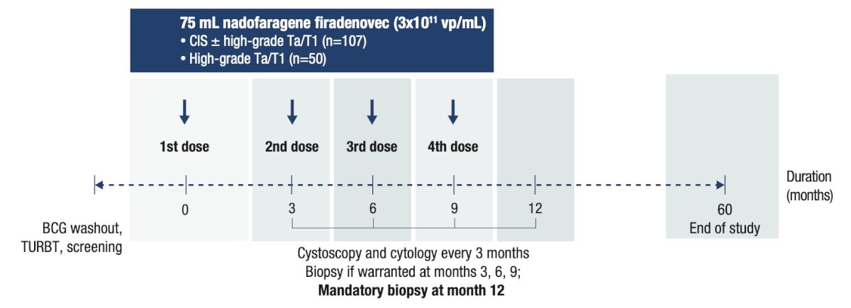 An open-label, multicenter, phase 3 study enrolled participants with BCG-unresponsive NMIBC to receive a single dose of nadofaragene firadenovec, with repeat dosing every 3 months in the absence of high-grade recurrence