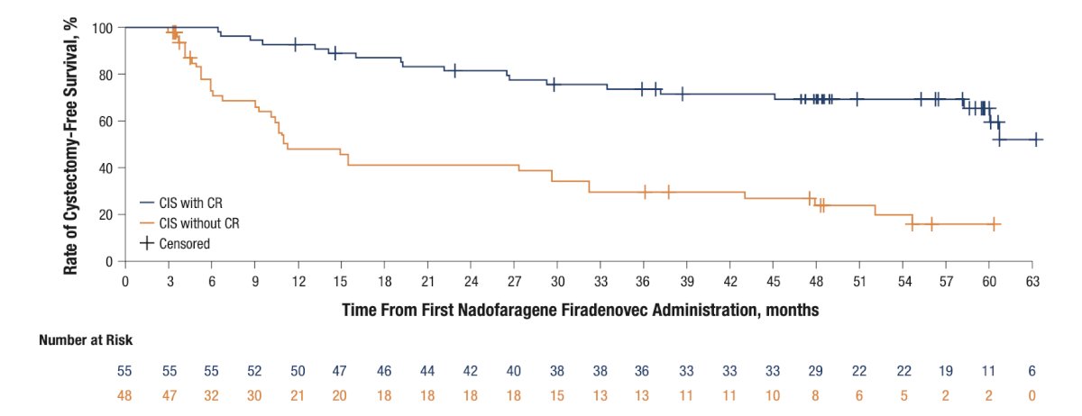  Of the 37 participants who underwent cystectomy with pathology data available, 6 had muscle invasive bladder cancer at cystectomy, of whom 3 had muscle invasive bladder cancer at transurethral resection before cystectomy and 3 underwent cystectomy for clinical NMIBC. Three participants were pT0 at cystectomy. The Kaplan–Meier estimated median duration of cystectomy-free survival was 47.9 months, 63.9 months, and 11.3 months in all participants with CIS ± Ta/T1, participants with a complete response, and participants without a complete response, respectively