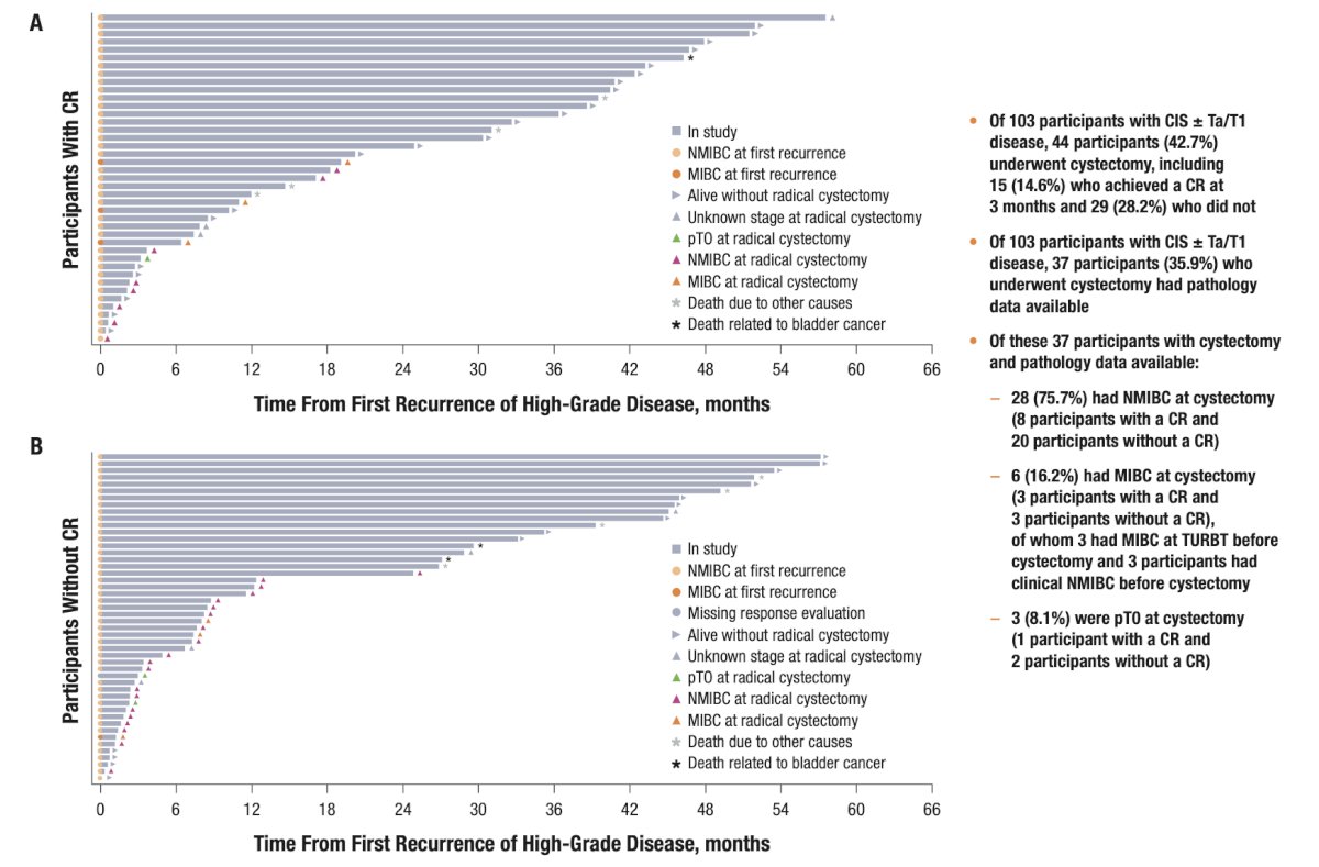 Time from recurrence to cystectomy, death, or last evaluable time point in patients with CIS ± Ta/T1 (A) with (n = 41) and (B) without (n = 48) complete response at 3 months in the efficacy analysis is as follows