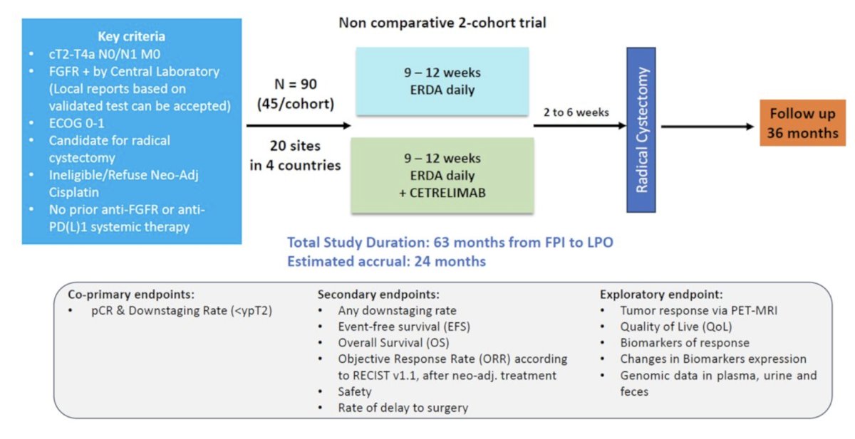 SOGUG-NEOWIN phase 2 trial