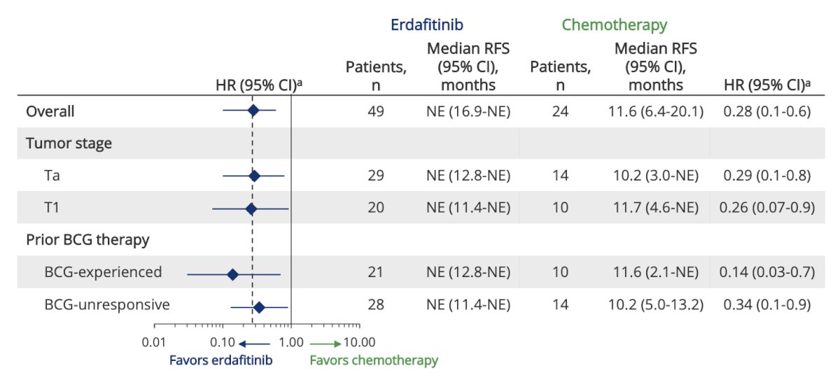 erdafitinib demonstrated a consistent recurrence free survival benefit across subgroups, specifically tumor stage and prior BCG (experienced versus unresponsive)