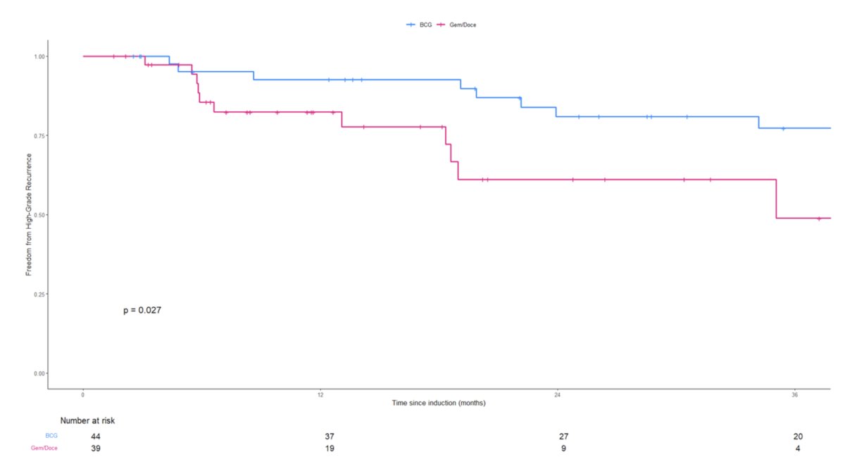 Among patients in the high-grade subgroup, the 2-year high-grade RFS rates were superior for those who received BCG (81% versus 61% for gemcitabine + docetaxel; log-rank p=0.027)