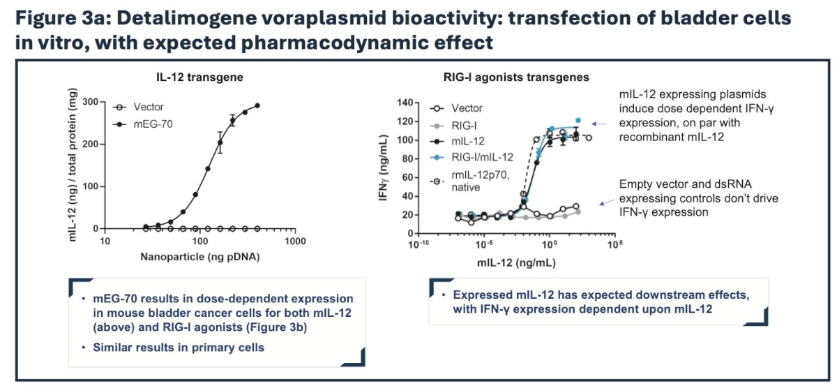 Immune profiling by flow cytometry, immunoassay, and immunohistochemistry revealed a profound remodeling of the tumor microenvironment from an immunosuppressive phenotype to a pro-inflammatory milieu supportive of tumor clearance