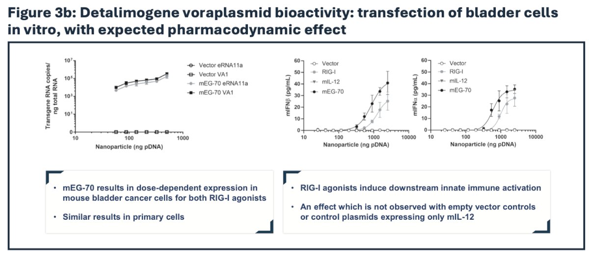 Immune profiling by flow cytometry, immunoassay, and immunohistochemistry revealed a profound remodeling of the tumor microenvironment from an immunosuppressive phenotype to a pro-inflammatory milieu supportive of tumor clearance 2