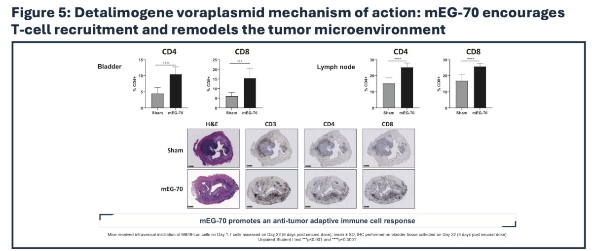 Immune profiling by flow cytometry, immunoassay, and immunohistochemistry revealed a profound remodeling of the tumor microenvironment from an immunosuppressive phenotype to a pro-inflammatory milieu supportive of tumor clearance 4