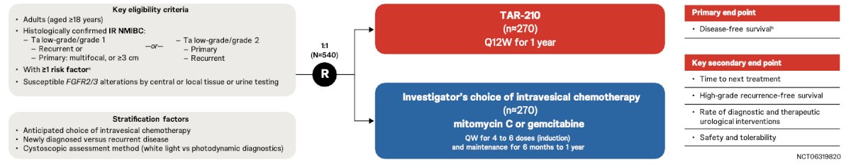 Eligible patients (~n = 540) will be randomized 1:1 to receive TAR-210 every 12 weeks for 1 year, or intravesical chemotherapy (mitomycin C or gemcitabine) weekly for 4-6 induction doses followed by maintenance therapy for 6 months to 1 year