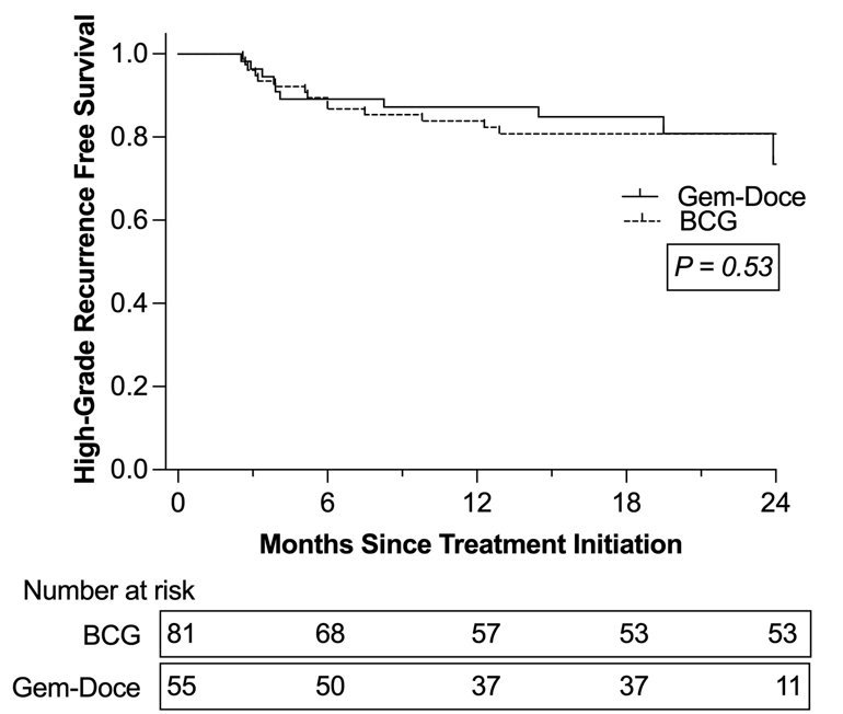 The median follow-up was 21 months, and during this period, 30 high-grade recurrences were documented: 12 in the Gem/Doce group and 18 in the BCG group. The 24-month recurrence-free survival (RFS) rates were 74% for the Gem/Doce group and 81% for the BCG group