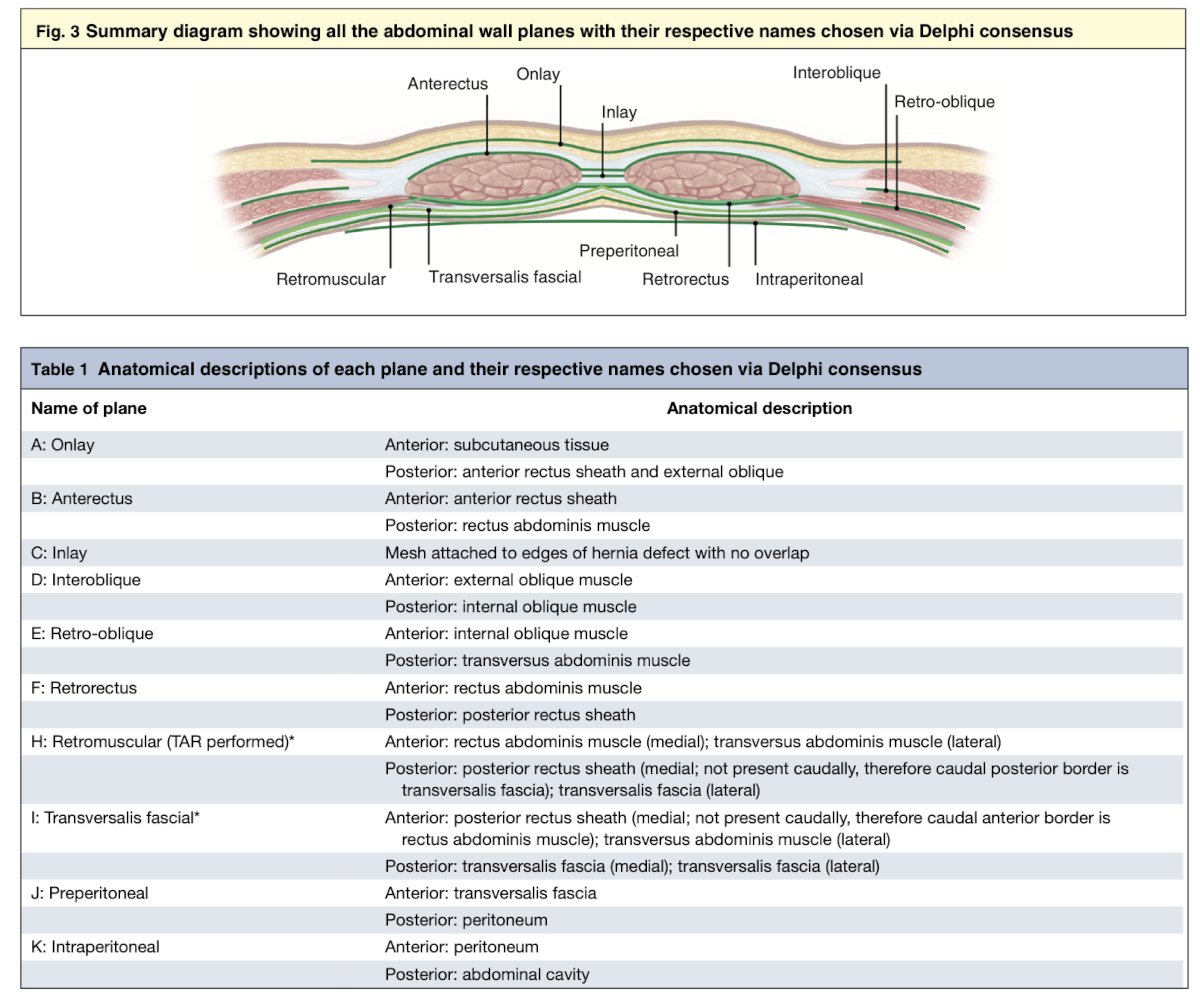 These planes are critical for both prophylactic mesh placement and for treating parastomal hernias