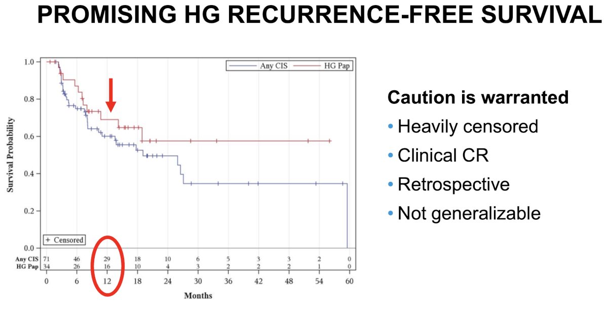 the study by Steinberg et al. in 2020 demonstrated excellent efficacy outcomes for gemcitabine + docetaxel in BCG-unresponsive NMIBC patients