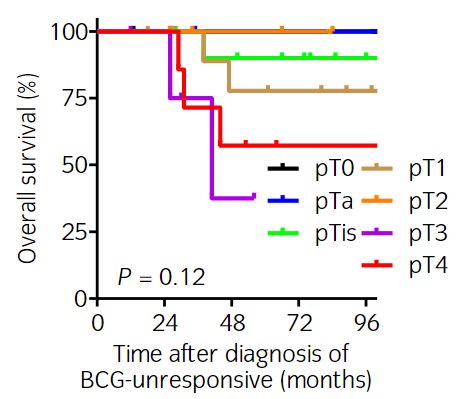 Overall, survival outcomes were excellent for these patients, with overall survival worsening with more advanced pathologic stages