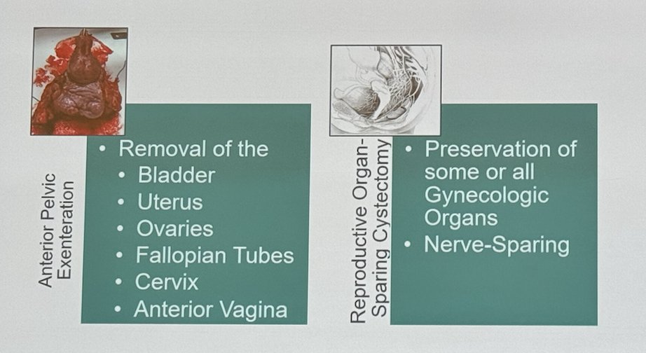 To discuss female sexual dysfunction after radical cystectomy, it's important to understand two surgical approaches. One is anterior pelvic exenteration, which involves the removal of the bladder, uterus, ovaries, fallopian tubes, cervix, and anterior vagina. The other is reproductive organ-sparing cystectomy, which preserves these reproductive organs.