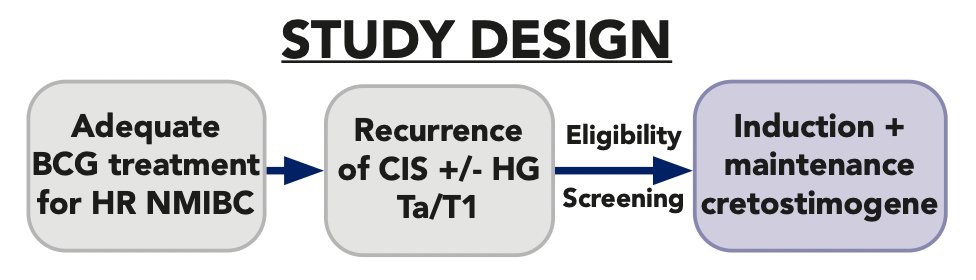  The cretostimogene Expanded Access Program (EAP) is an open-label, expanded access clinical trial designed to provide cretostimogene to a diverse population of real-world patients with BCG-unresponsive high risk NMIBC who may not otherwise qualify or have access to clinical trials