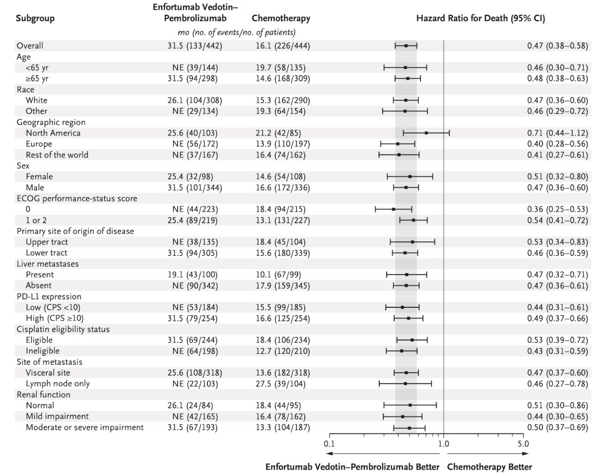 The overall survival subgroup analyses in favor of enfortumab vedotin + pembrolizumab, with clinically meaningful HR and median survival improvements across all subgroup comparisons.