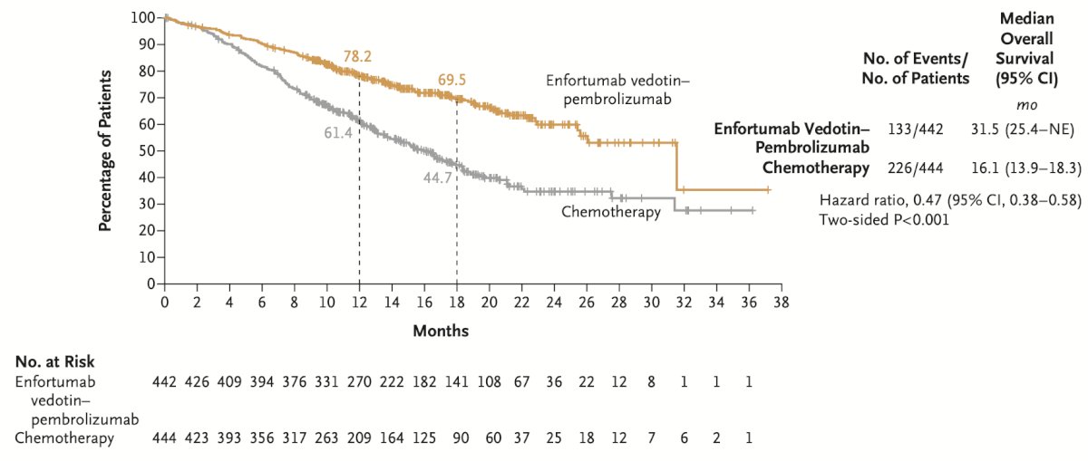 The median OS was 31.5 months in the EV-pembrolizumab group compared to 16.1 months in the chemotherapy group, representing a 53% lower risk of death in the enfortumab vedotin-pembrolizumab group than in the chemotherapy group