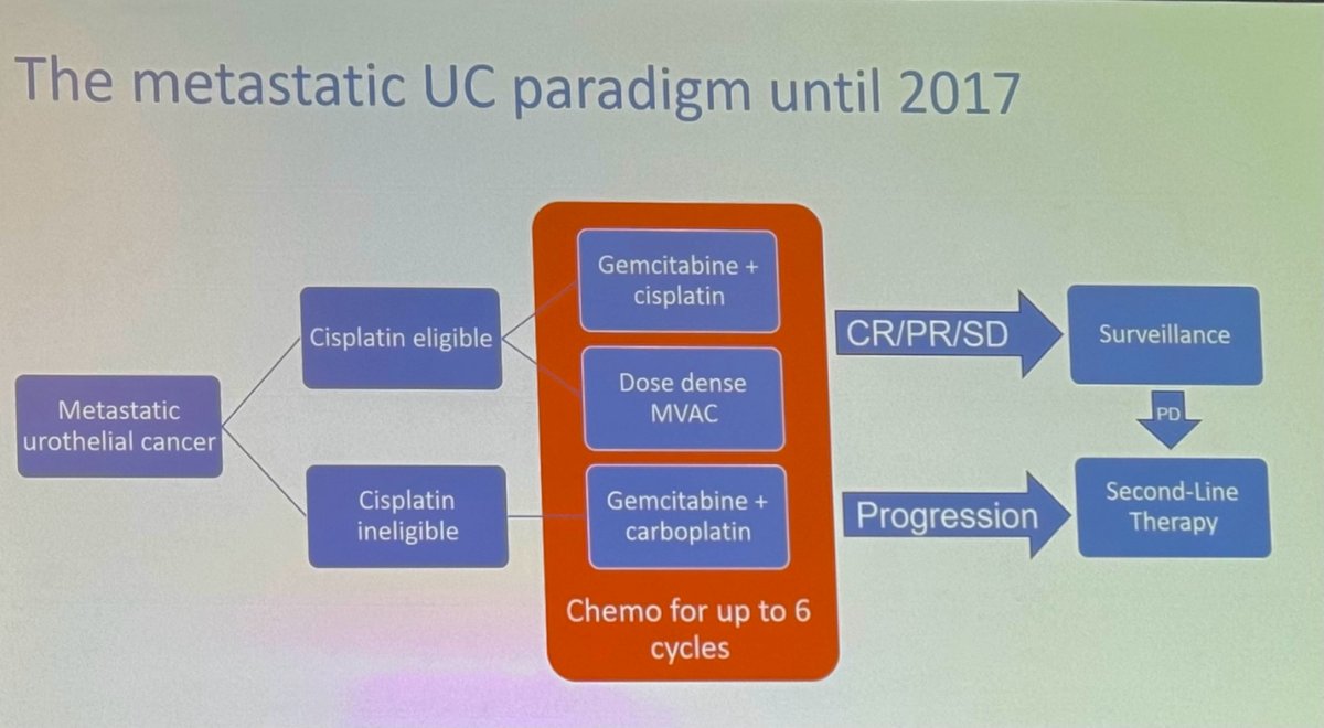 Treatment options included various chemotherapy combinations, as shown below. Patients with a complete or partial response, or stable disease, would proceed to surveillance, while those with progression would receive second-line therapy.