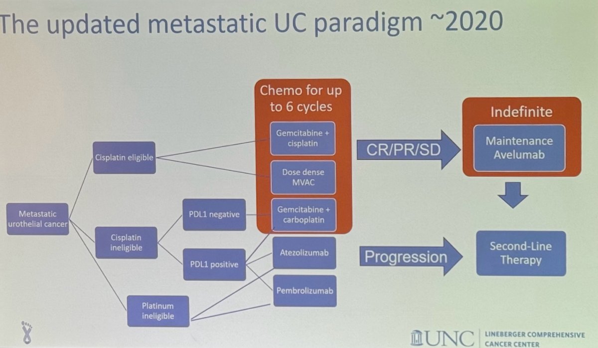 The treatment paradigm for mUC continued to evolve in 2020, becoming more complex but also offering more options for patients.