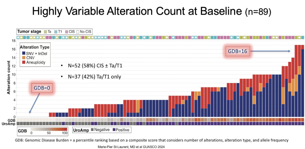  Presented at ASCO GU 2024, St-Laurent et al. demonstrated that urinary comprehensive genomic profile (uCGP) at baseline and after 4 cycles of atezolizumab treatment can identify genomic patterns associated with an increased risk of high-grade disease persistence, recurrence or progression in BCG-unresponsive NMIBC treated with immune checkpoint inhibition.