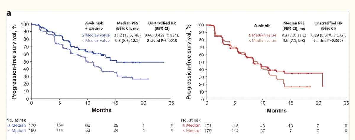 Similarly, gene signatures using 26 genes in the JAVELIN Renal 101 study have also been described, these signatures have also shown potential to predict response to Avelumab + Axitinib but not to sunitinib as shown in the figure below.